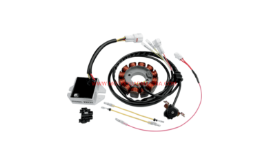 Comprar Comp. electricos en MotoQuad Magina